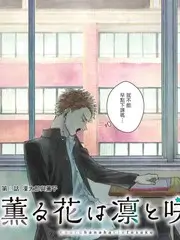 菠萝音乐节